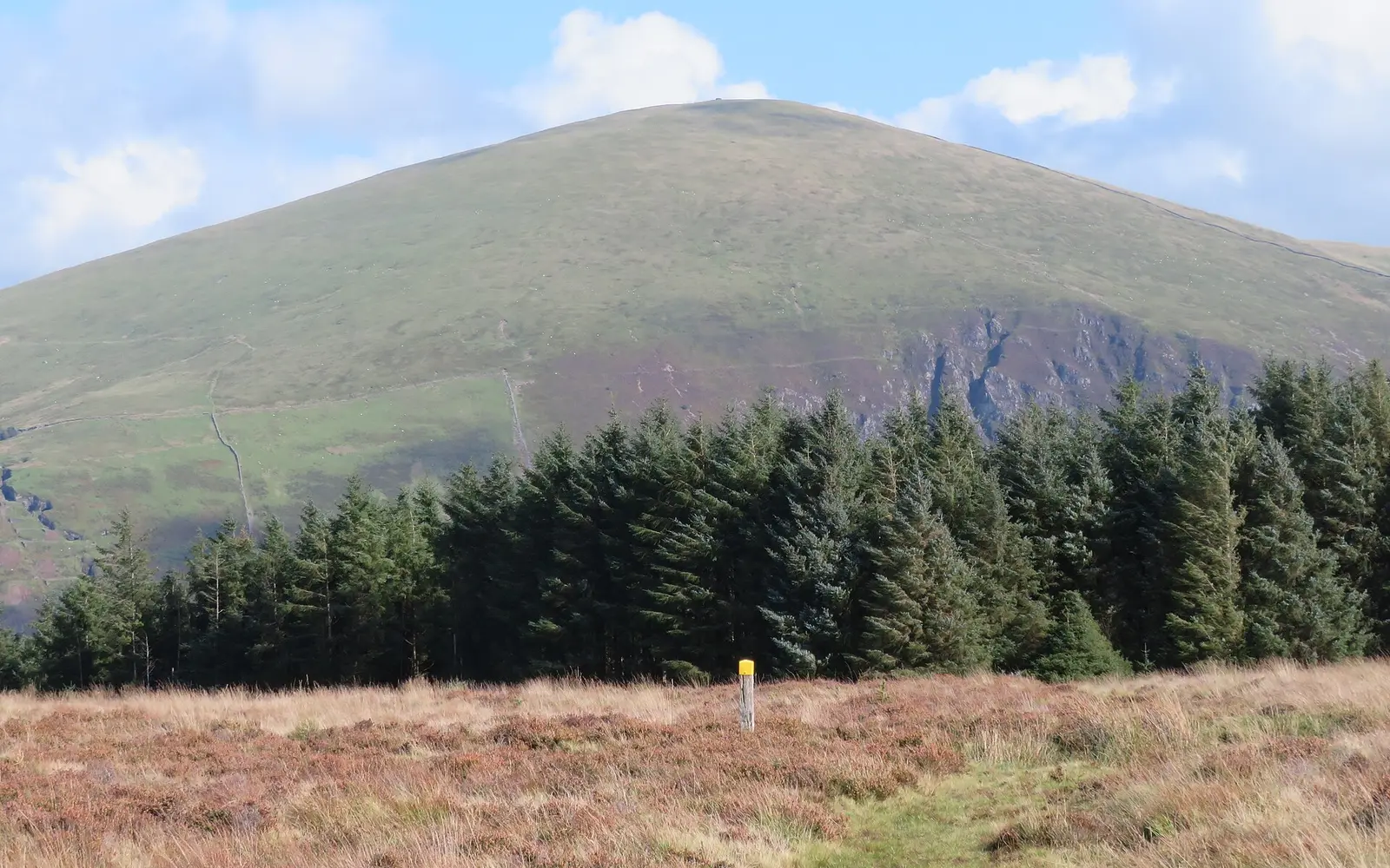 A yellow-topped waymarker post in heather on the open moor, with a fell behind